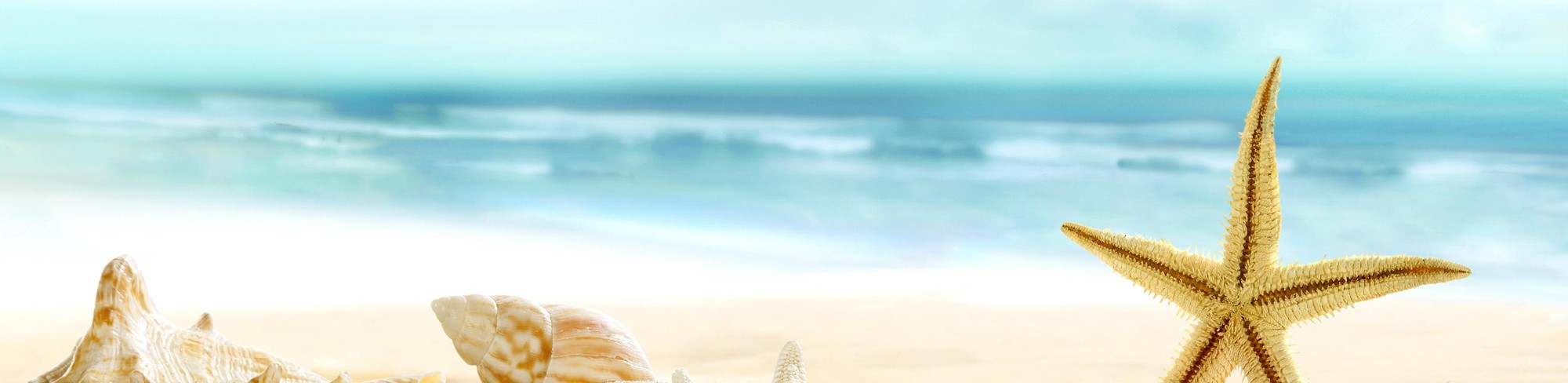 <strong>创新、协调、绿色、开放、共享</strong>