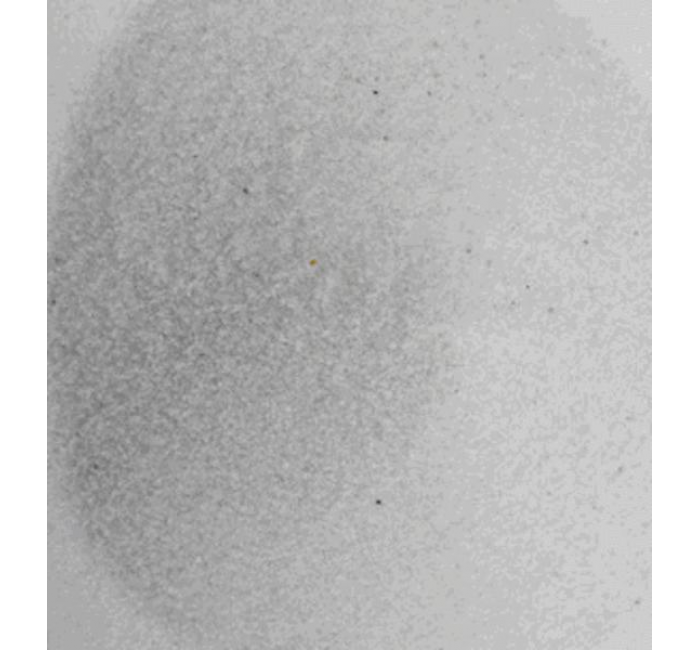 初选石英砂粗砂